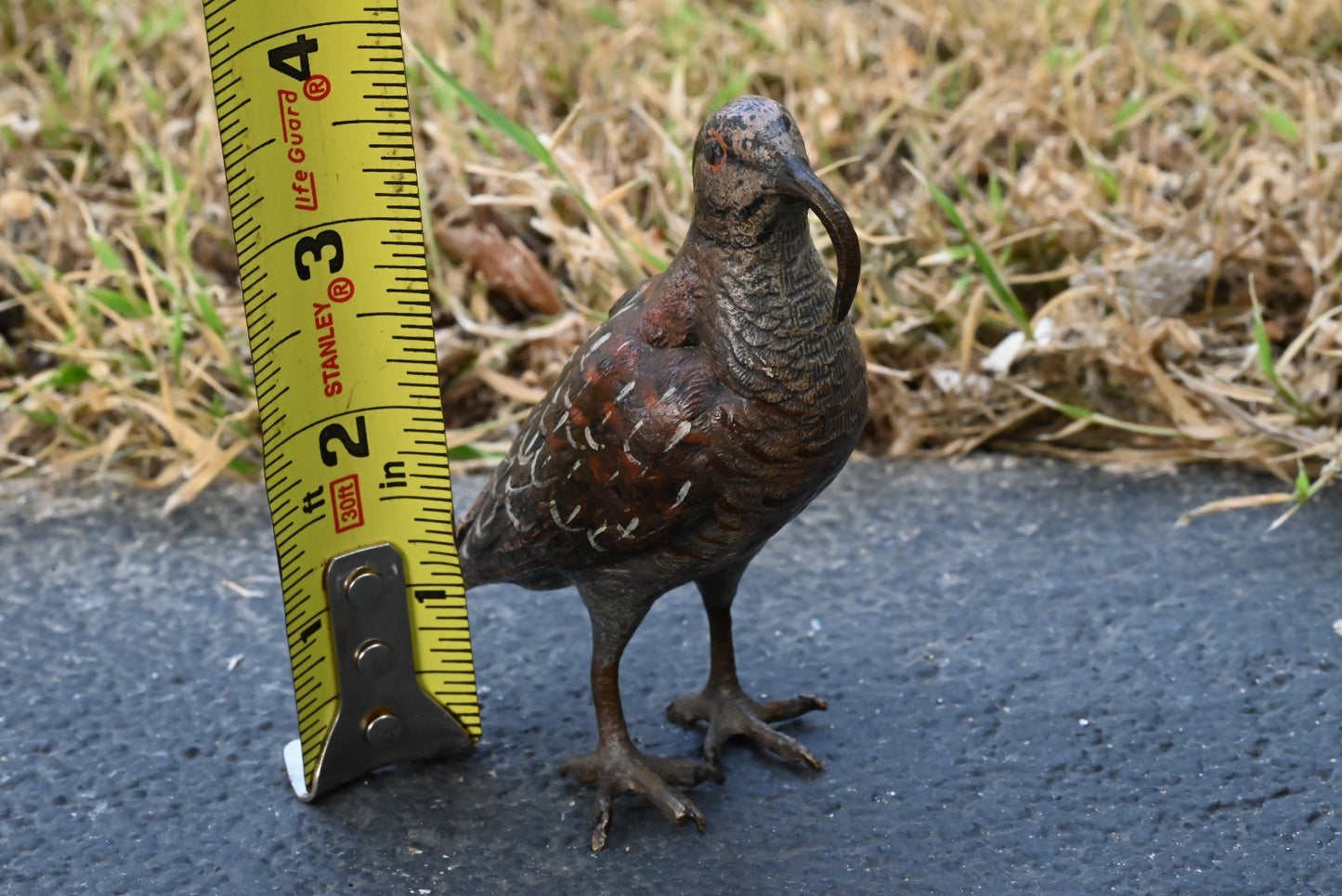Amazing Austrian Vienna Cold Painted Bronze Figure of American Woodcock Bird7