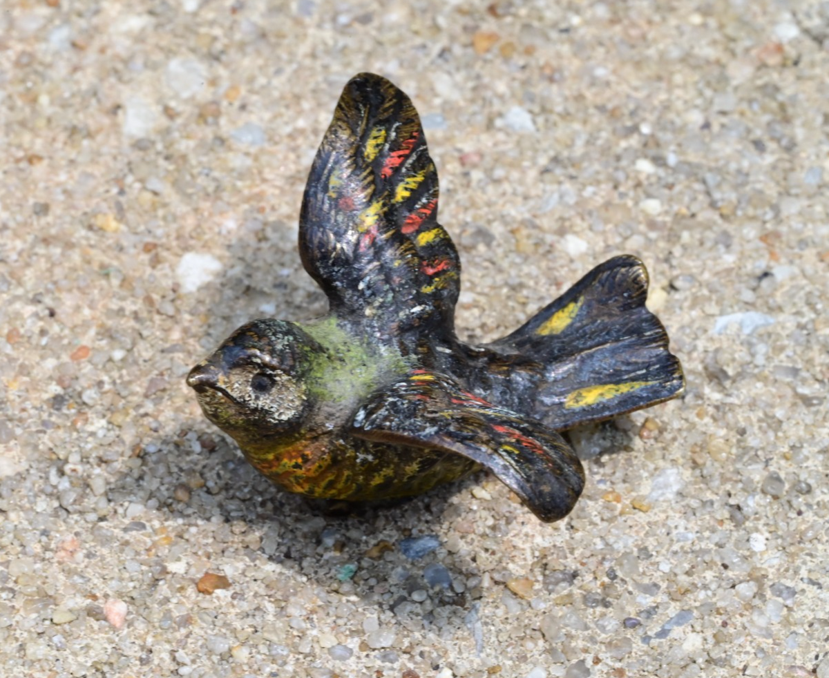 Early Antique 1900s Austrian Vienna Cold Painted Bronze of Colorful Flying Bird 5