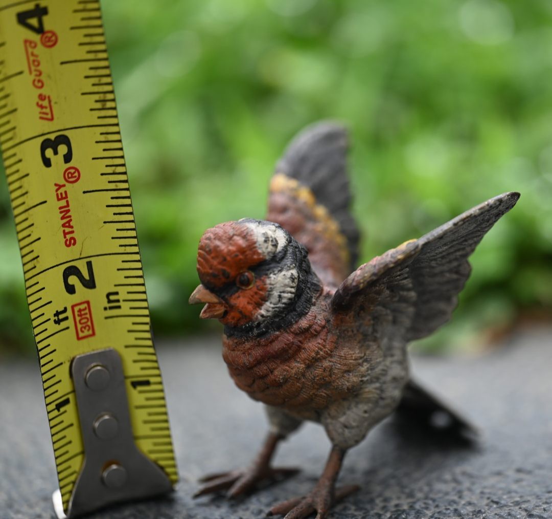 Amazing Life - Like Austrian Vienna Cold Painted Bronze Figure of Goldfinch Bird11