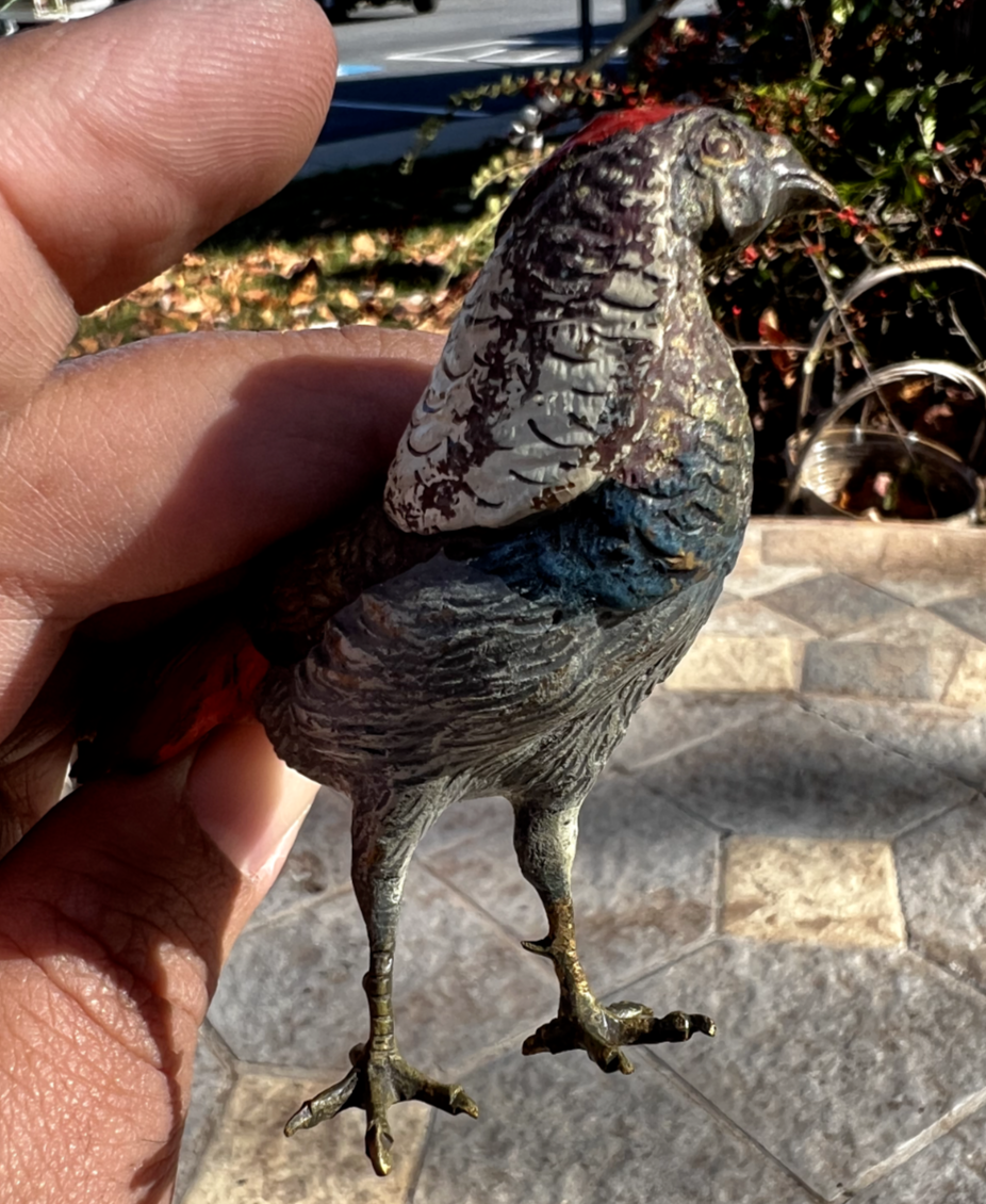 Antique Austrian Vienna Cold Painted Bronze Figure of Amherst Pheasant4