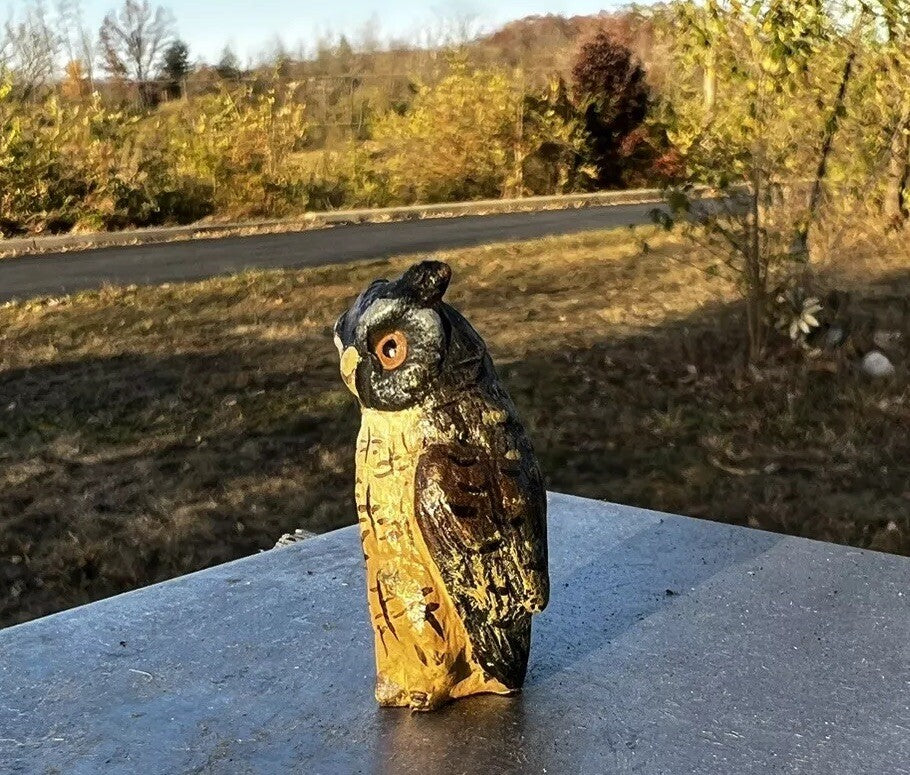 Amazing Antique Austrian Vienna Cold Painted Bronze Figure of Owl5