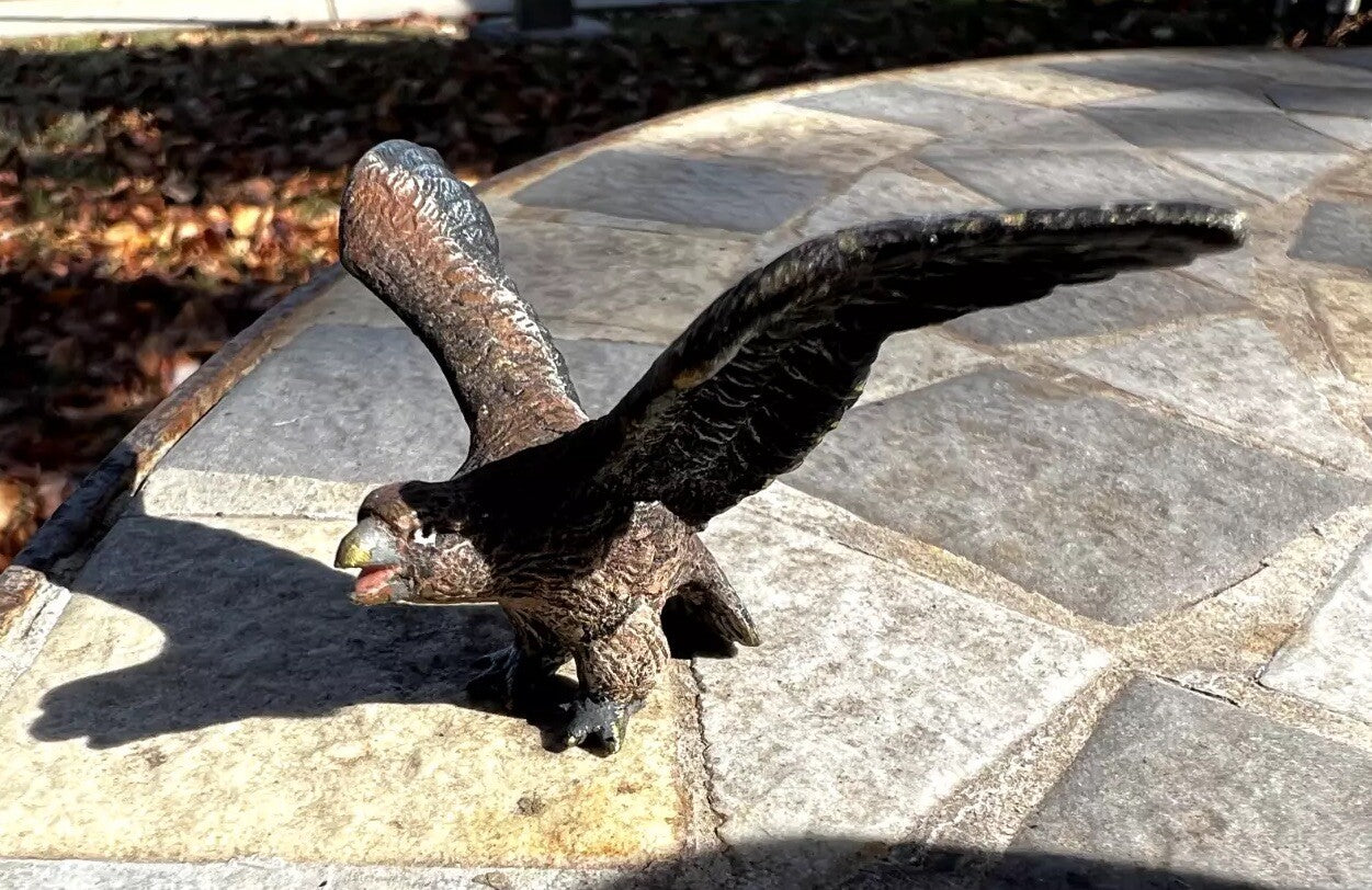 Detailed Antique Austrian Vienna Cold Painted Bronze Figure of Hawk0