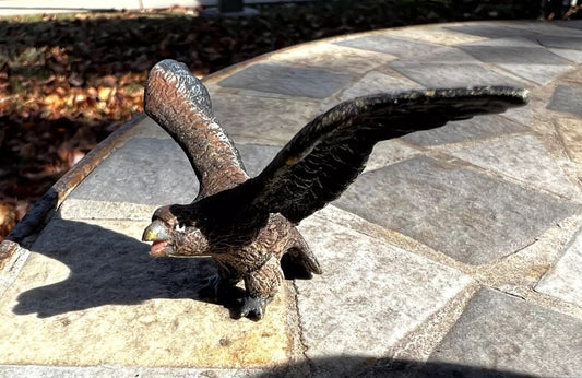 Detailed Antique Austrian Vienna Cold Painted Bronze Figure of Hawk0