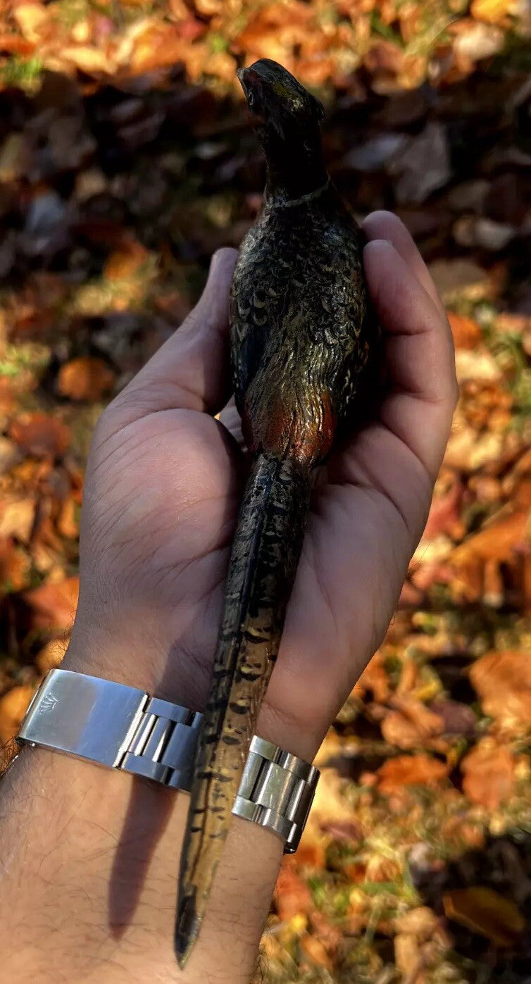 Gorgeous Large Antique Austrian Vienna Cold Painted Bronze Figure of Pheasant9
