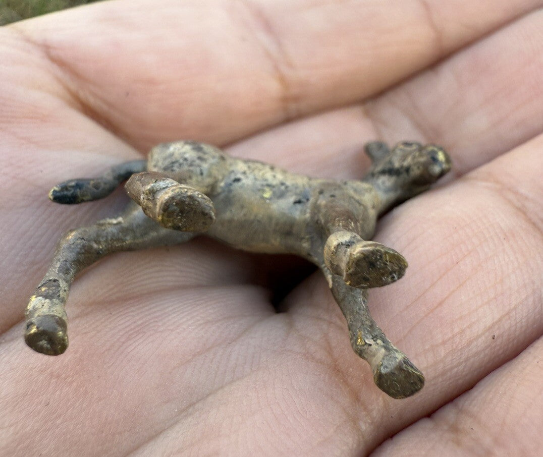 Cute Antique Austrian Vienna Cold Painted Bronze Figure of Young Donkey Foal9