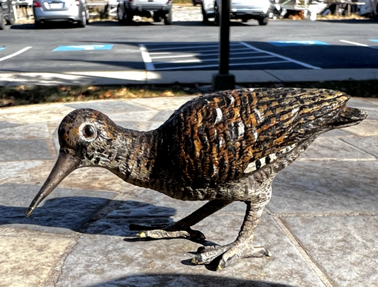 Antique Austrian Vienna Cold Painted Bronze Figure of Eurasian Woodcock0