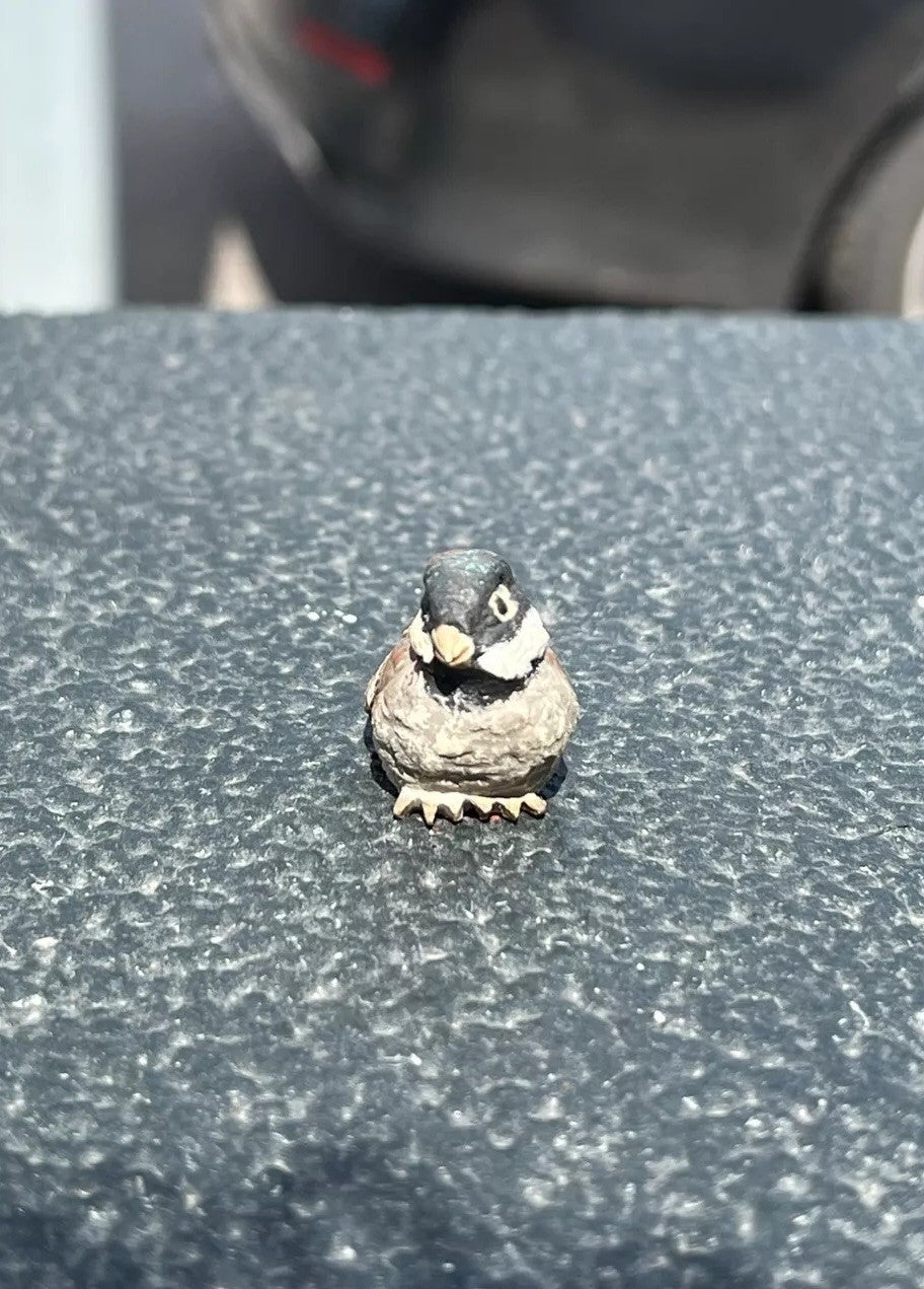 Lovely Antique Austrian Vienna Cold Painted Bronze Figure of Cute Small Sparrow6