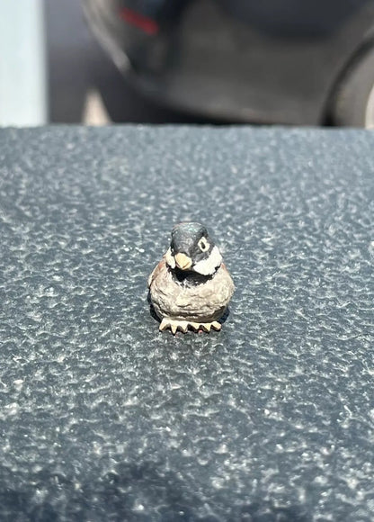 Lovely Antique Austrian Vienna Cold Painted Bronze Figure of Cute Small Sparrow6