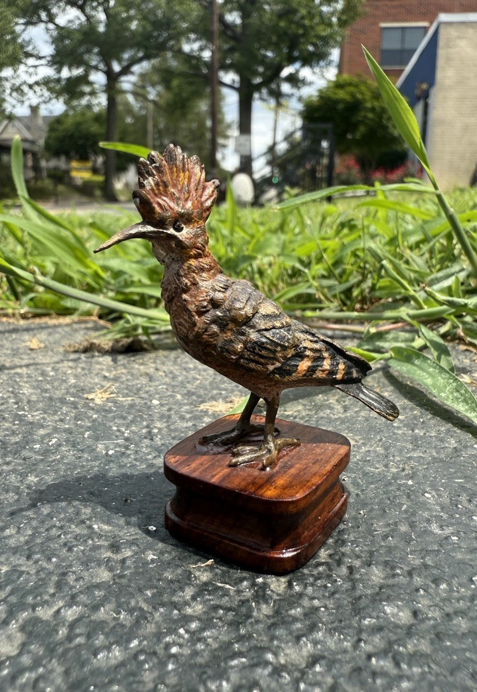 Rare Antique Austrian Vienna Cold Painted Bronze of Hoopoe Bird5