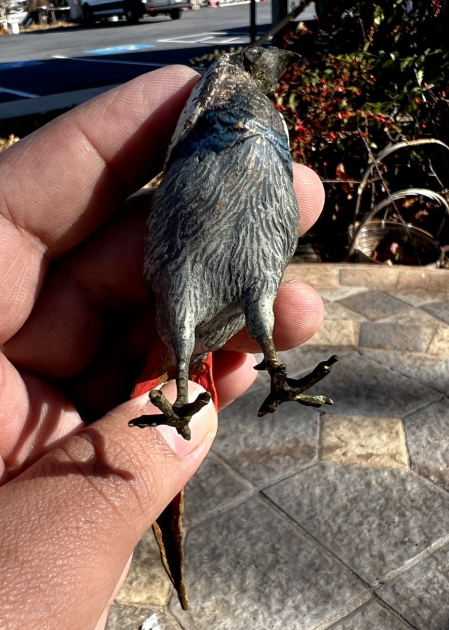 Antique Austrian Vienna Cold Painted Bronze Figure of Amherst Pheasant18