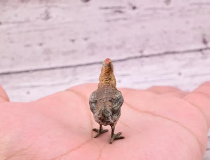 Lovely Old Antique Austrian Vienna Cold Painted Bronze Figure of Young Farm Hen2