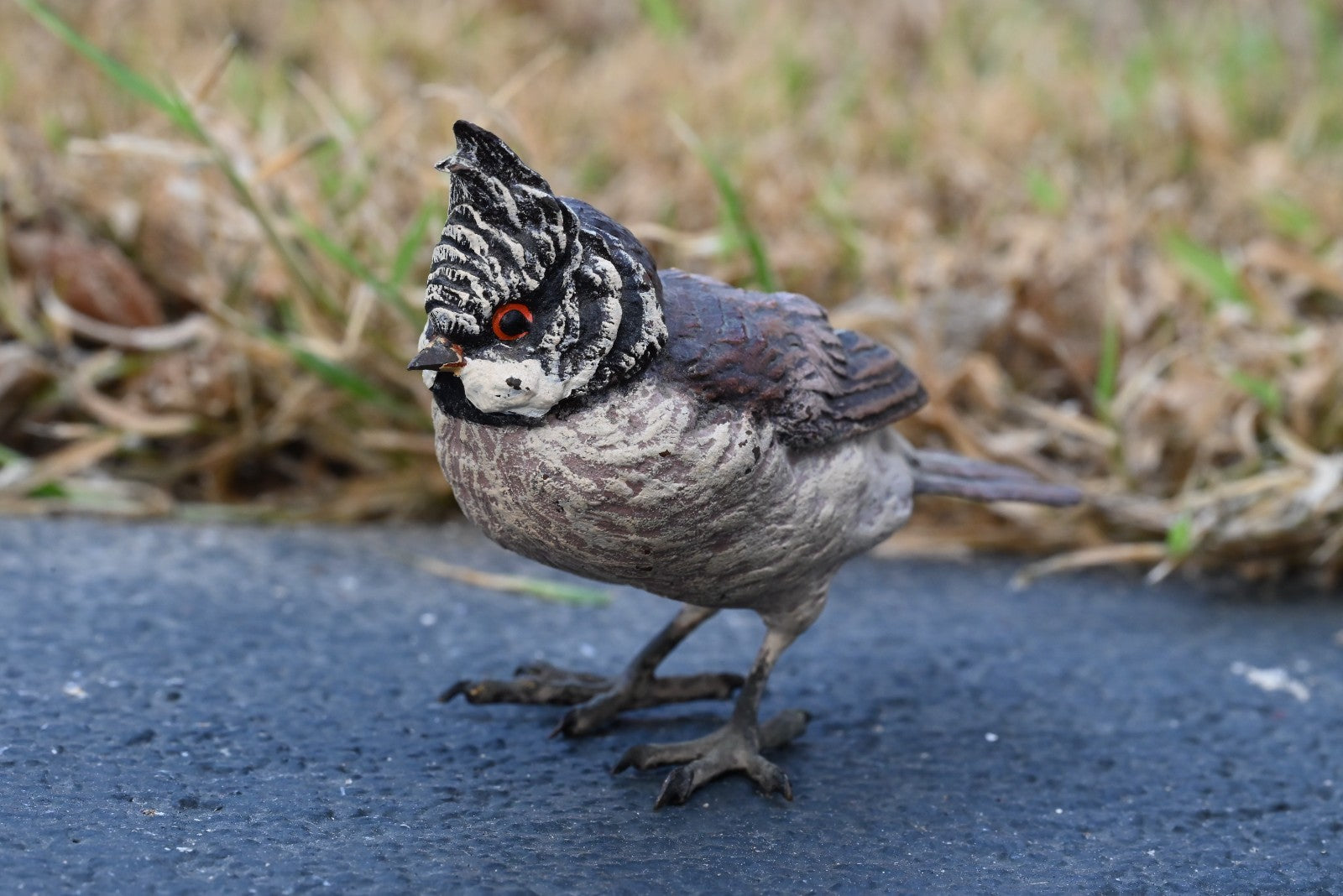 Gorgeous Austrian Vienna Cold Painted Bronze Figure of Black-crested Titmouse1