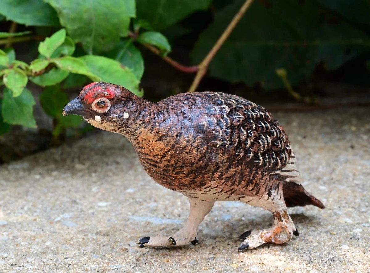 Austrian Vienna Cold Painted Bronze Injured Game Bird3
