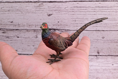 Stunning Antique Austrian Vienna Cold Painted Bronze of Ring Neck Pheasant0