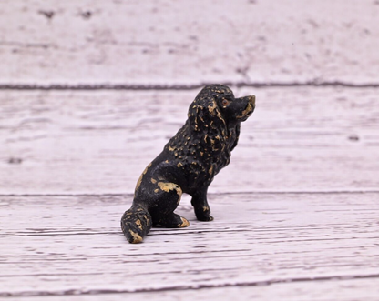 Antique Austrian Vienna Cold Painted Bronze Figure of Small Black Poodle6