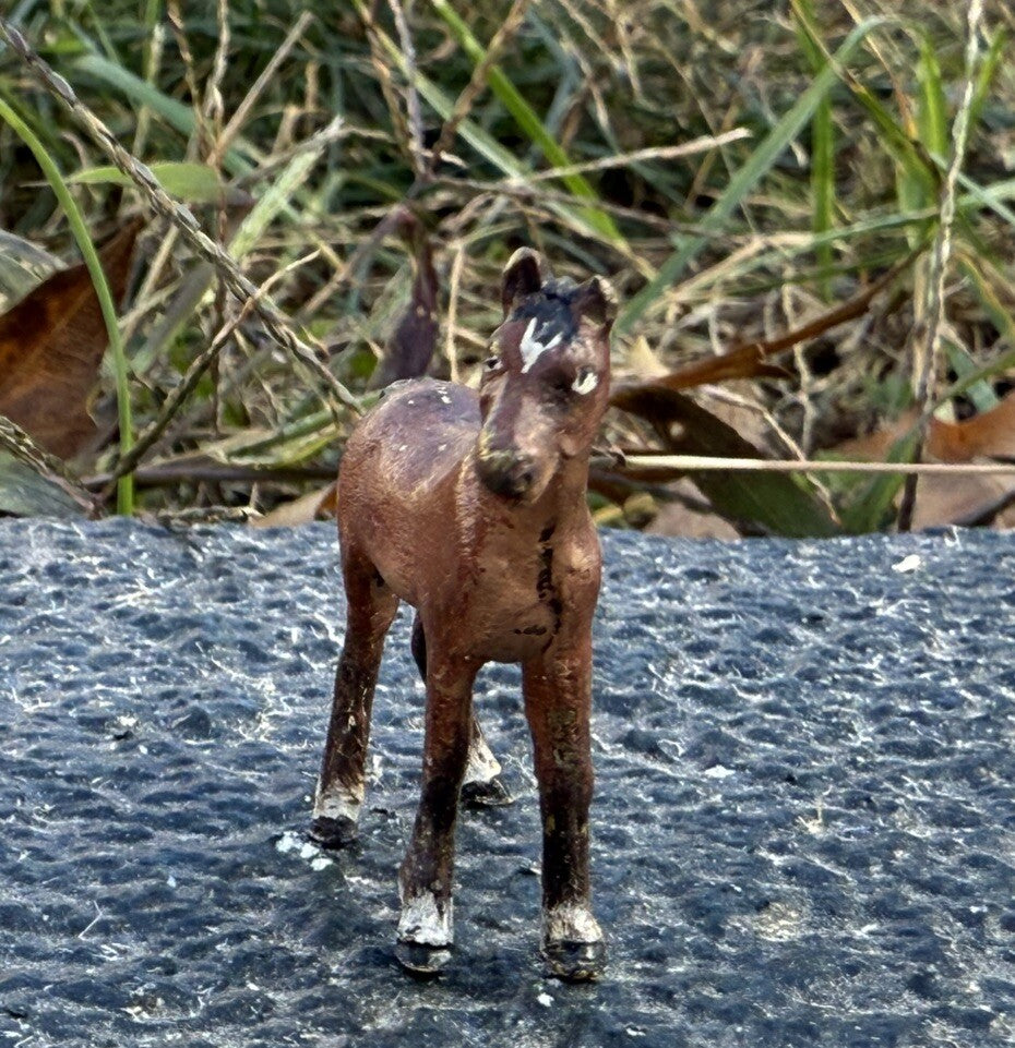 Antique Austrian Vienna Cold Painted Bronze Figure of Young Horse6