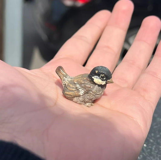 Lovely Antique Austrian Vienna Cold Painted Bronze Figure of Cute Small Sparrow0
