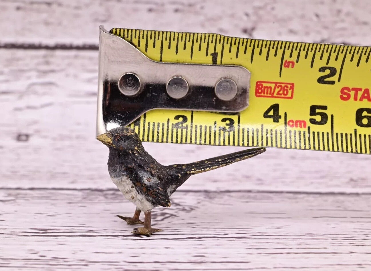 Highly Detailed Antique Austrian Vienna Cold Painted Bronze Small Black Bird12