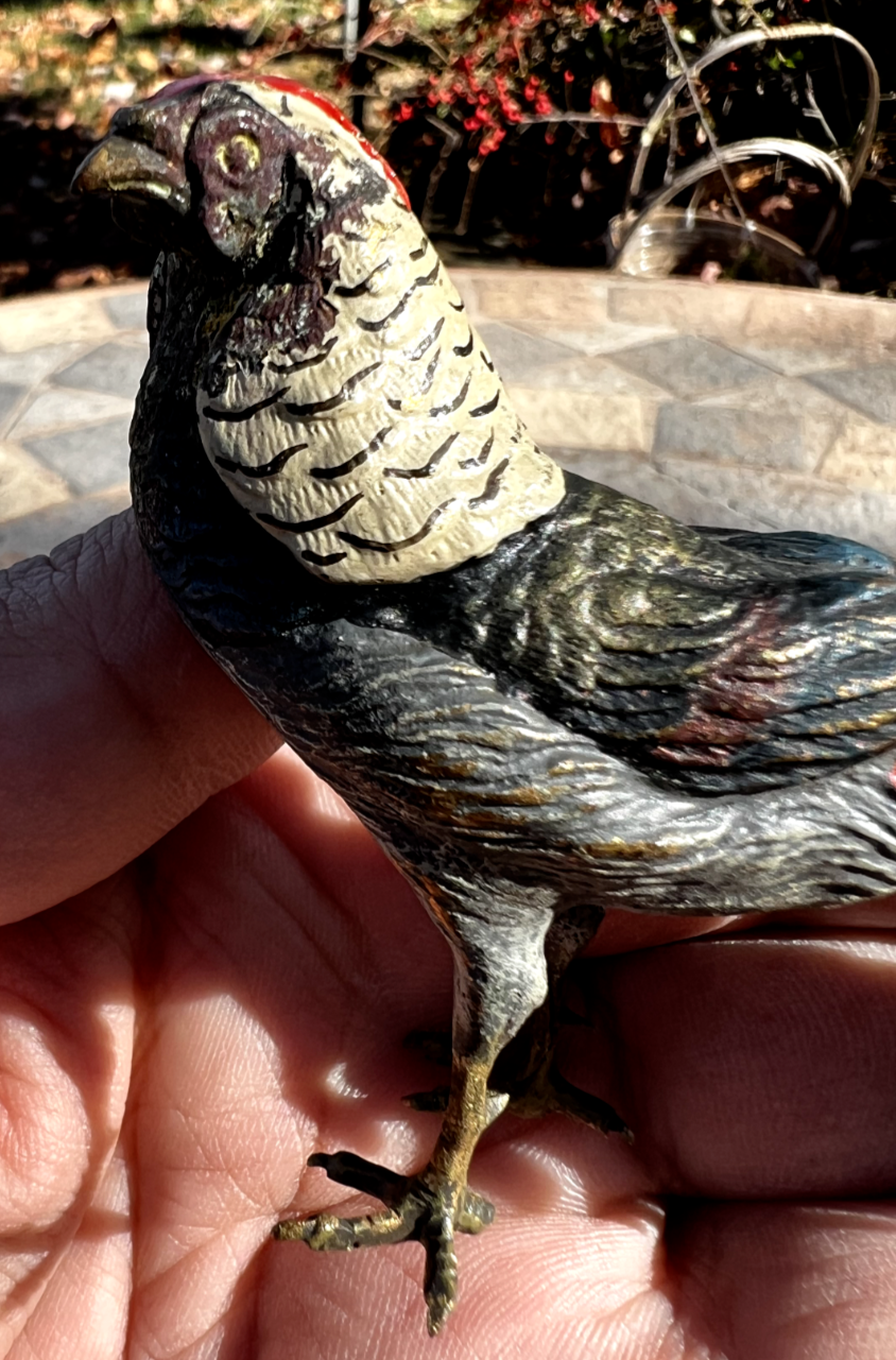 Antique Austrian Vienna Cold Painted Bronze Figure of Amherst Pheasant9
