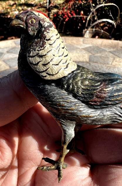 Antique Austrian Vienna Cold Painted Bronze Figure of Amherst Pheasant9