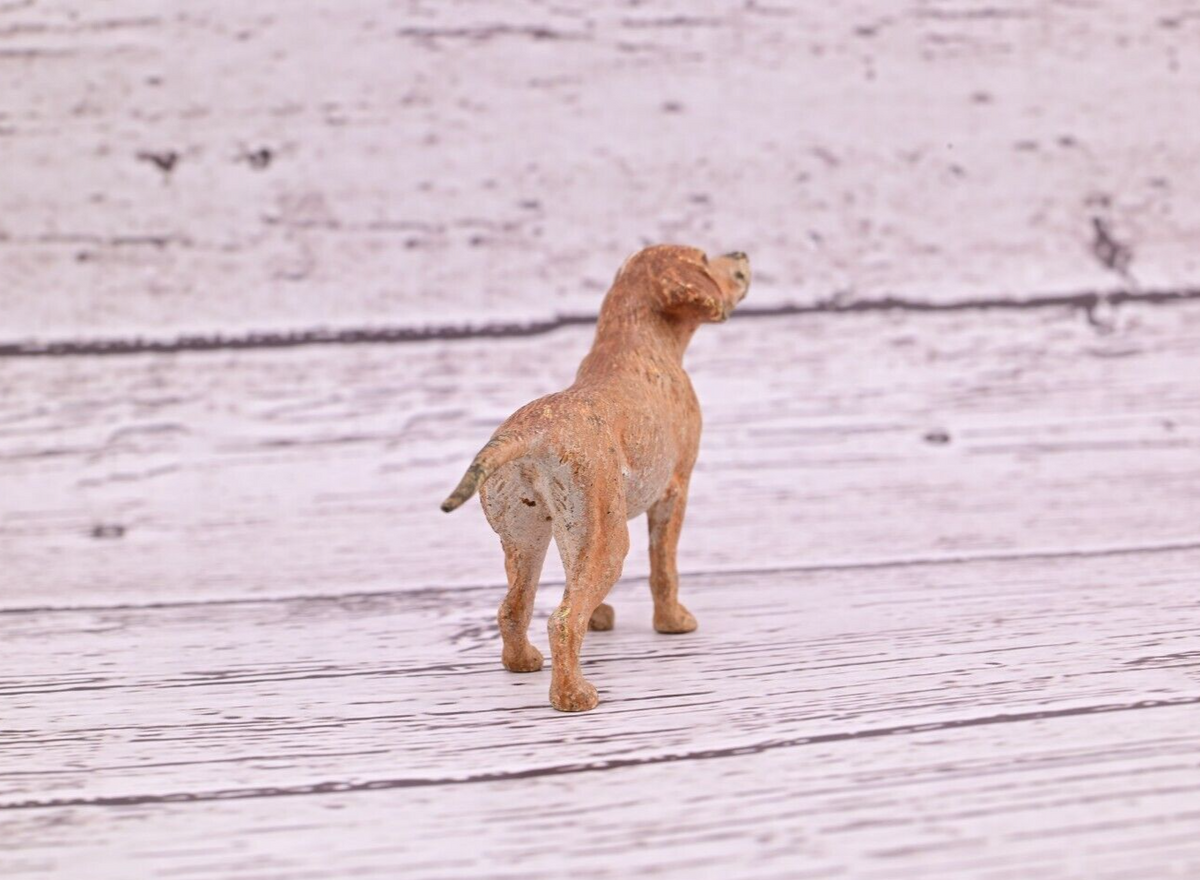Antique 1900s Austrian Vienna Cold Painted Bronze Figure of Labrador Retriever5