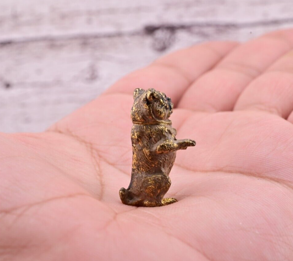 Amazing Antique Austrian Vienna Cold Painted Bronze Figure of Cute Small Pug12