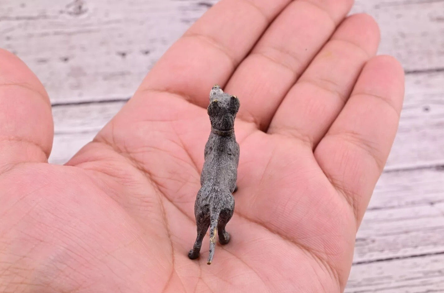 Early Antique 1900s Austrian Vienna Cold Painted Bronze Figure of Great Dane Dog5