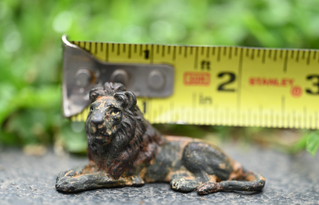 Antique Austrian Vienna Cold Painted Bronze Figure of Lion6