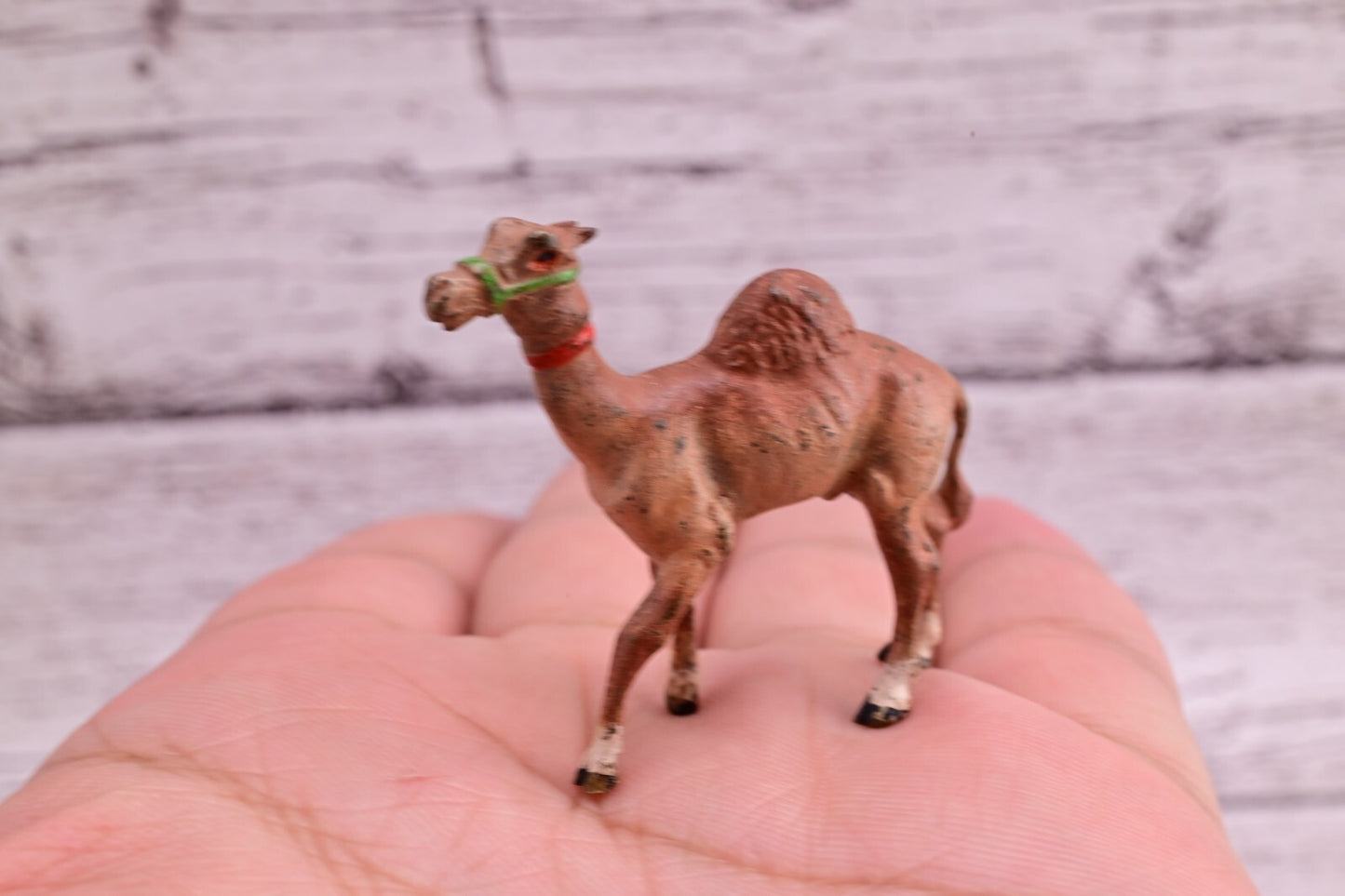 Original Miniature Antique Austrian Vienna Cold Painted Bronze of Desert Camel6