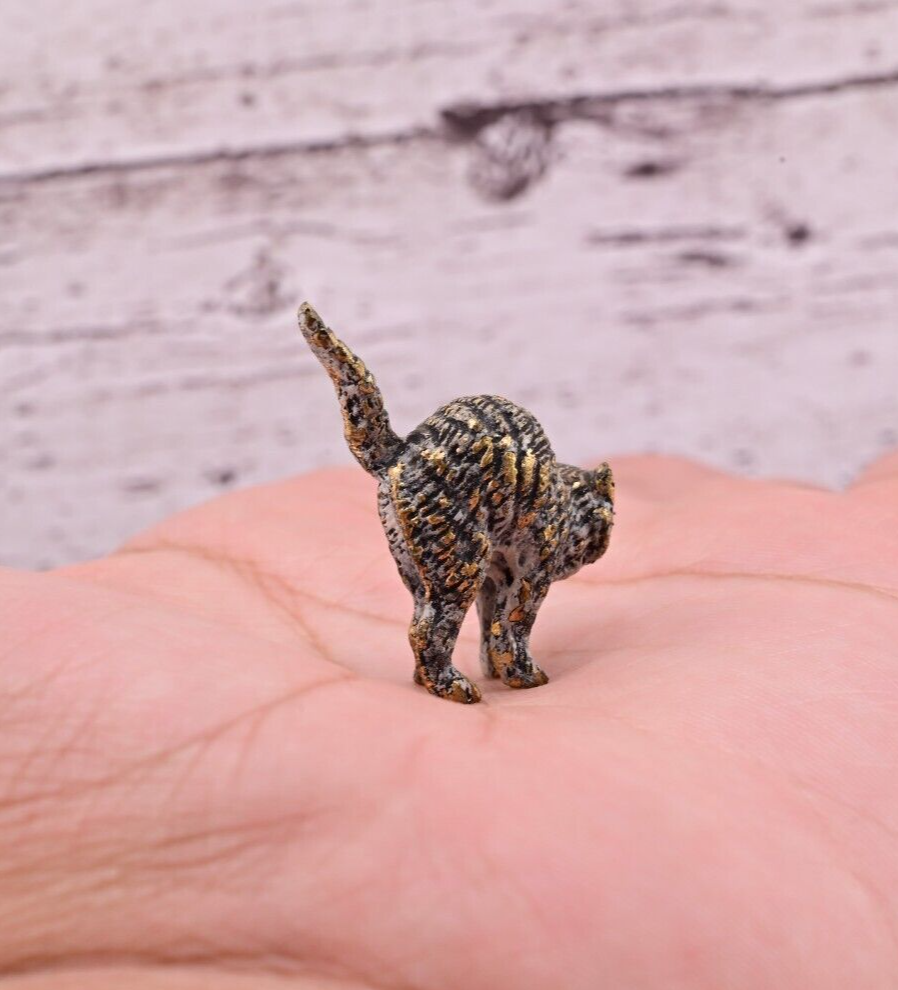 Life-Like Antique Austrian Vienna Cold Painted Bronze Figure of Scared Cat4