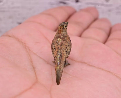Amazing Antique Austrian Vienna Cold Painted Bronze Figure of Tiny Pheasant3