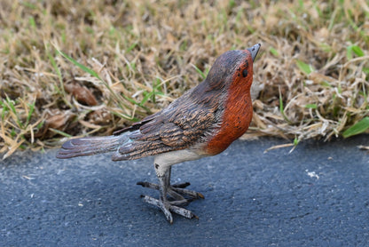Lovely Austrian Vienna Cold Painted Bronze Bird Figure of European Robin3