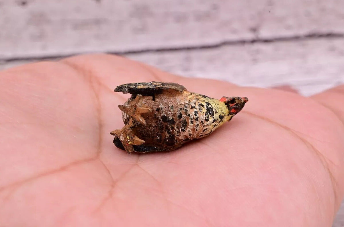 Antique Austrian Vienna Cold Painted Bronze Figure of Cute Small Chicken5
