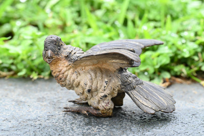 Detailed Antique Austrian Vienna Cold Painted Bronze Figure of Cuckoo Bird1