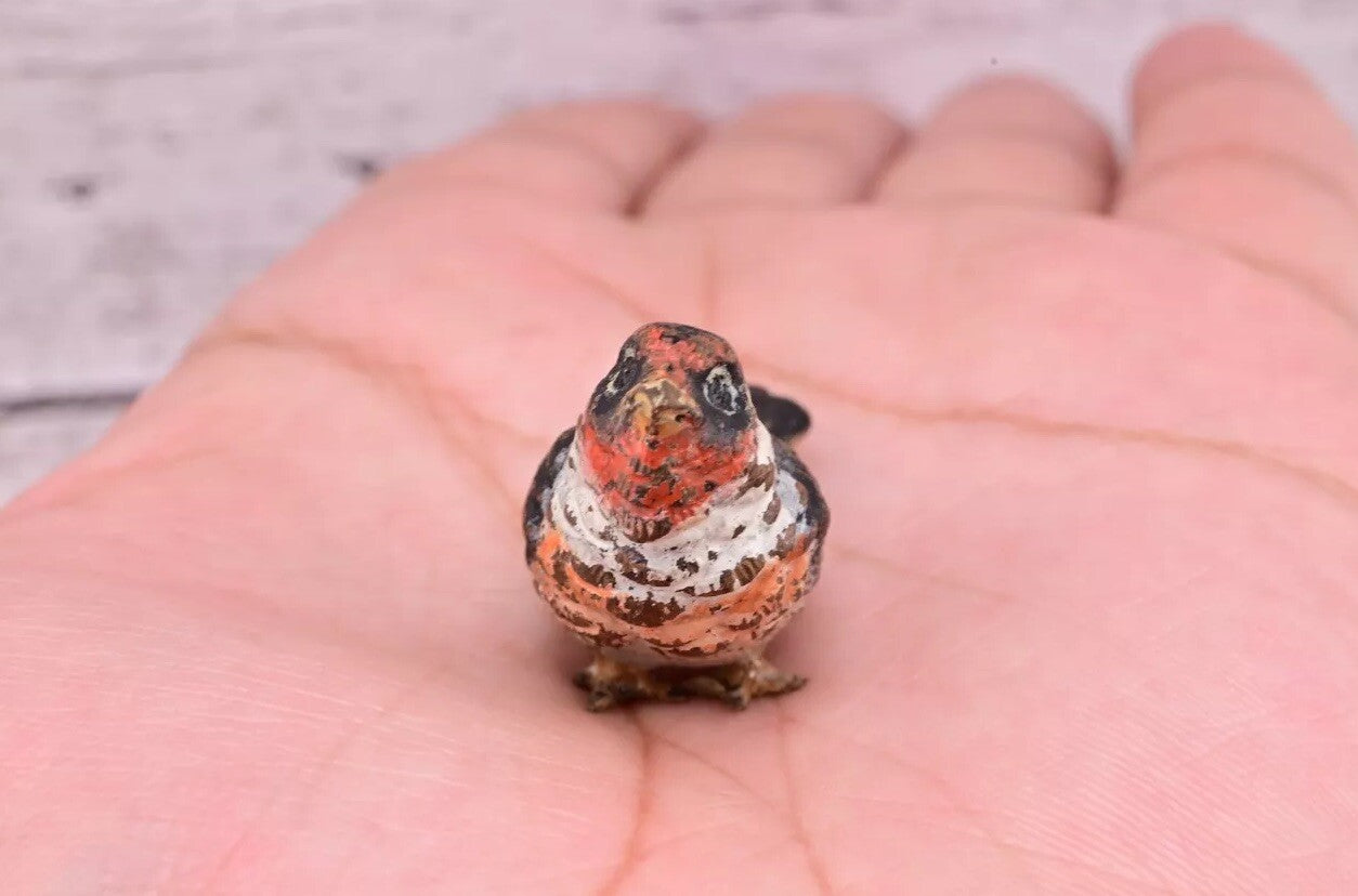 Amazing Antique Austrian Vienna Cold Painted Bronze Figure of Goldfinch2