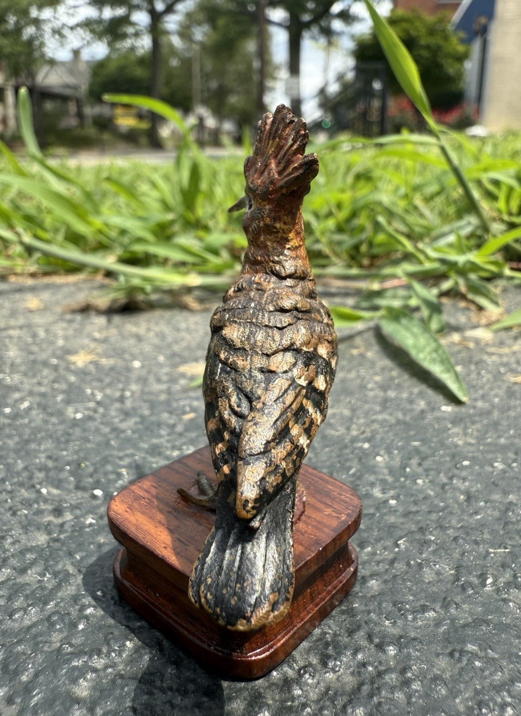 Rare Antique Austrian Vienna Cold Painted Bronze of Hoopoe Bird2