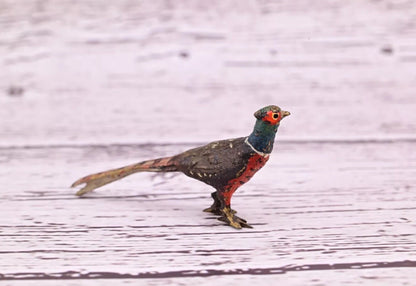 1900s Antique Austrian Vienna Cold Painted Bronze Figure of Tiny Pheasant3