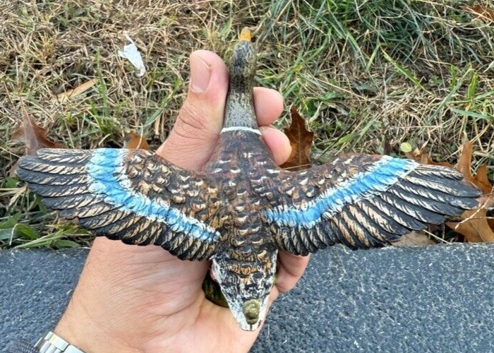 Antique Austrian Vienna Cold Painted Bronze Figure of Flying Mallard Duck3