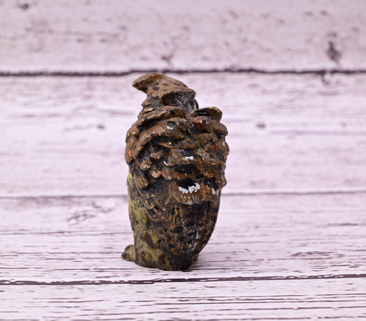 Well Detailed Antique Austrian Vienna Cold Painted Bronze Figure of Owl3