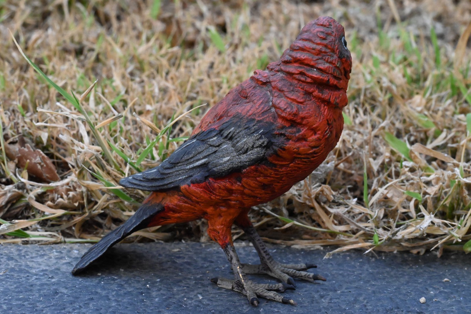 Austrian Vienna Cold Painted Bronze Figure of Pine Grosbeak or Red-Crested Finch3