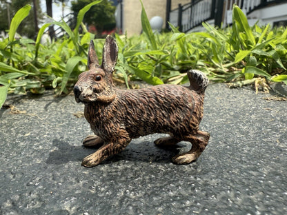Life Like Antique Austrian Vienna Cold Painted Bronze of Brown Rabbit8