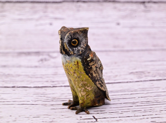 High Quality Antique Austrian Vienna Cold Painted Bronze Figure of Owl1