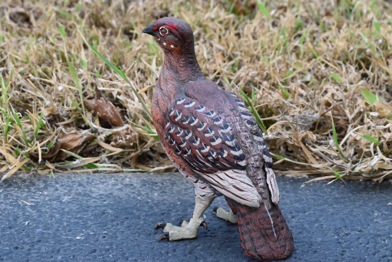 Beautiful Austrian Vienna Cold Painted Bronze Figure of  Partridge Game Bird3