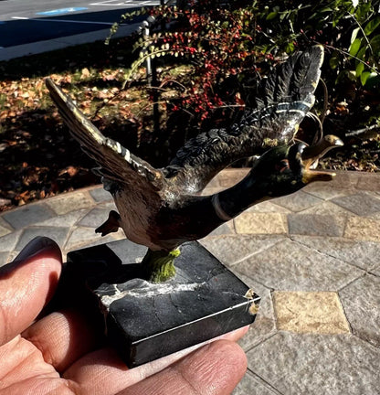 Antique Austrian Vienna Cold Painted Bronze Figure of Flying Duck3