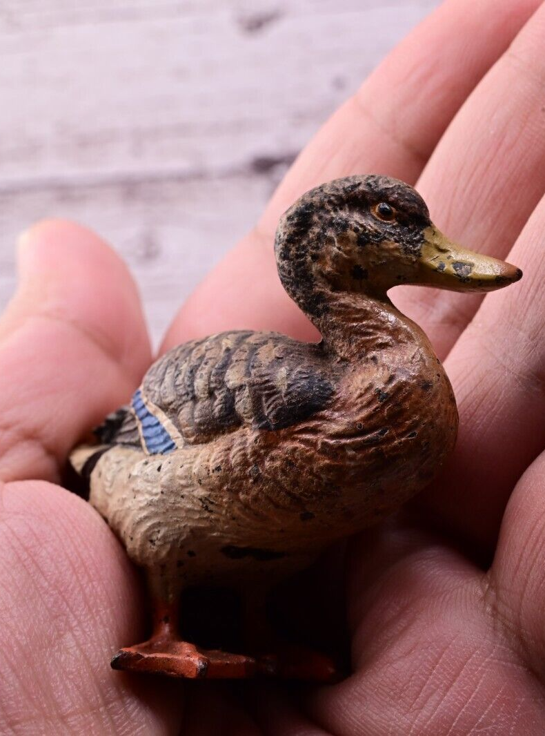 Gorgeous Antique Austrian Vienna Cold Painted Bronze Figure of Mallard Duck8