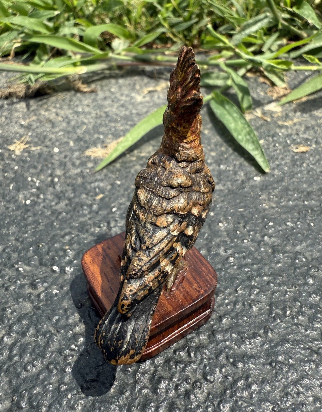 Rare Antique Austrian Vienna Cold Painted Bronze of Hoopoe Bird7