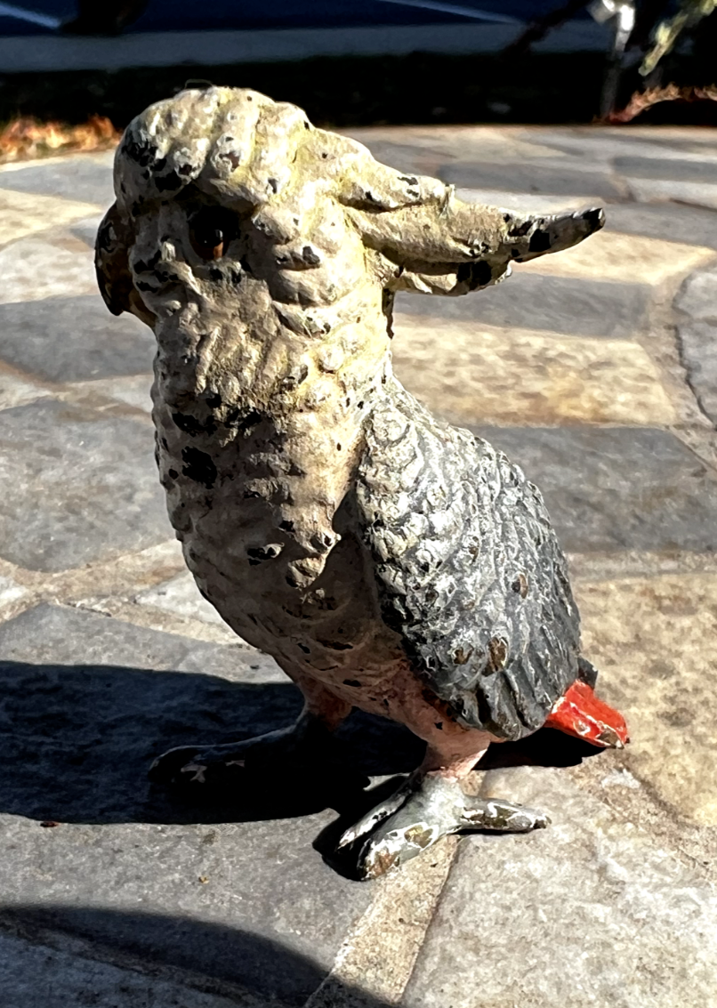 Original Antique Austrian Vienna Cold Painted Bronze Figure of Cockatoo15