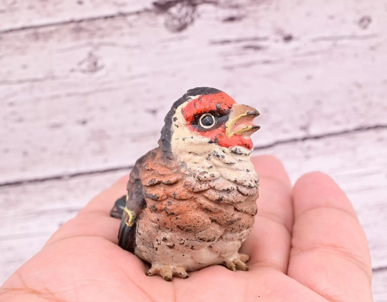 Super Cute Antique Austrian Vienna Cold Painted Bronze Figure of Goldfinch0