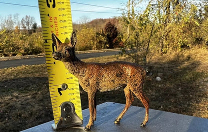 Antique Austrian Vienna Cold Painted Bronze Figure of Doe Deer5