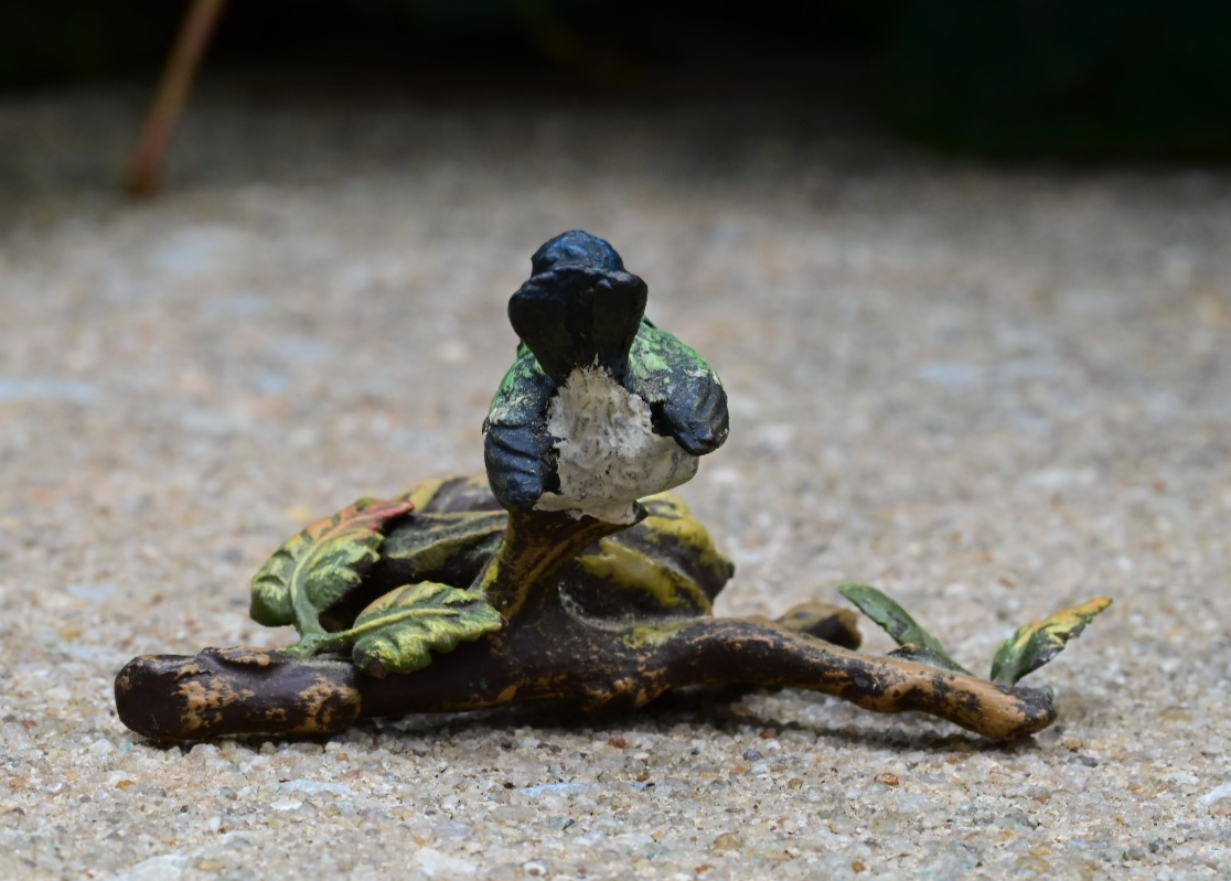 Antique Austrian Vienna Cold Painted Bronze Figure of Songbird Nest Watching6